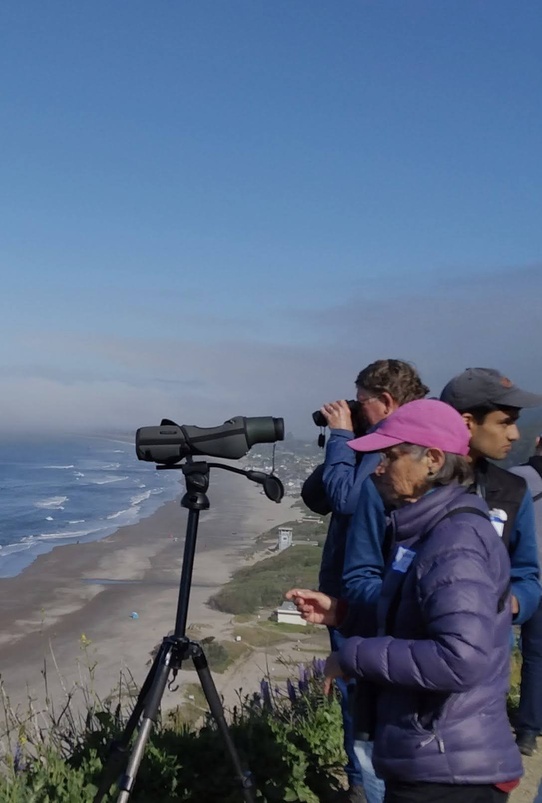 Point Reyes_Birding the Fault_April 2023_Nancy Deschu (3).jpg