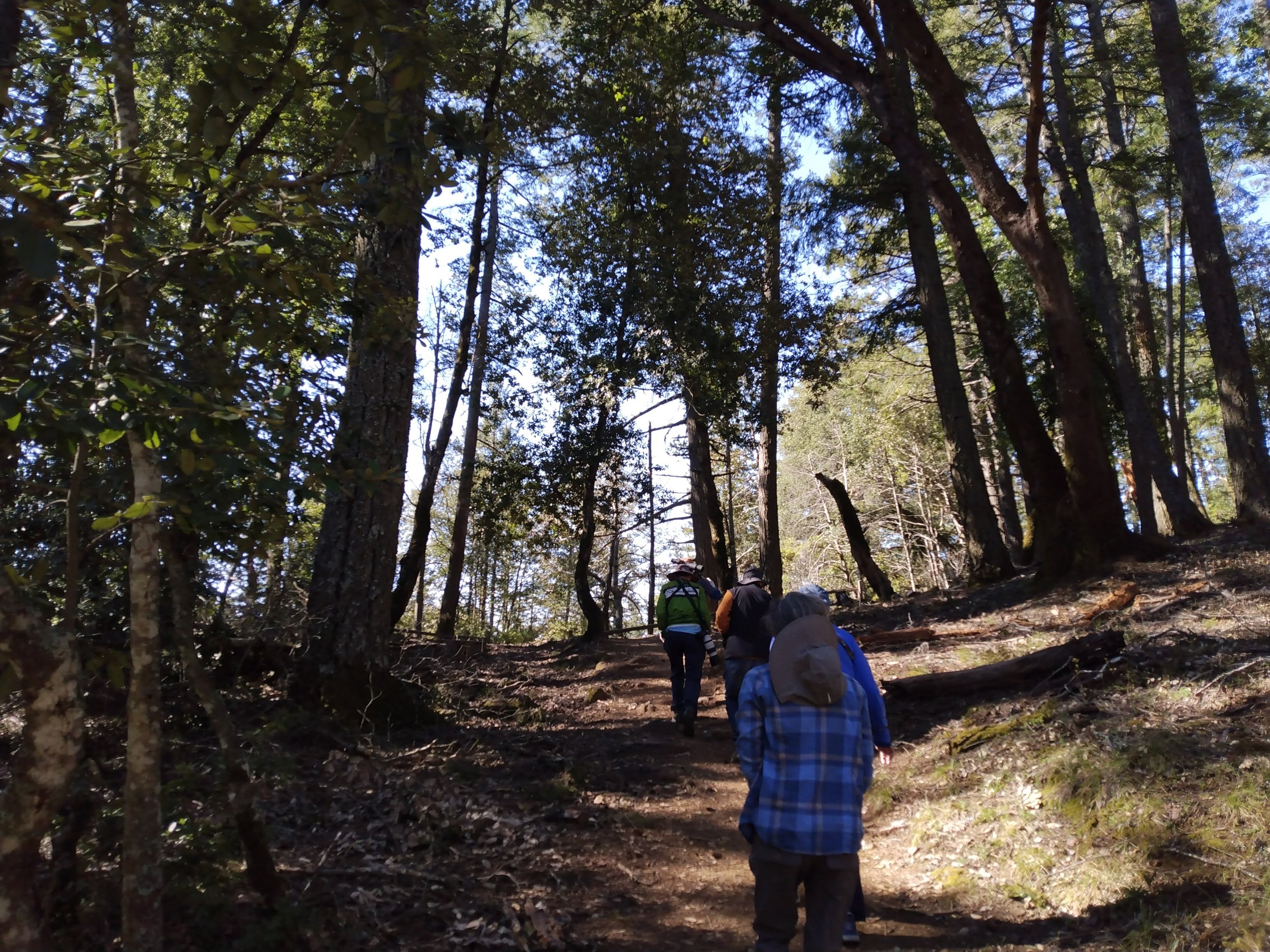 Point Reyes_Birding the Fault_April 2023_Nancy Deschu (6).jpg