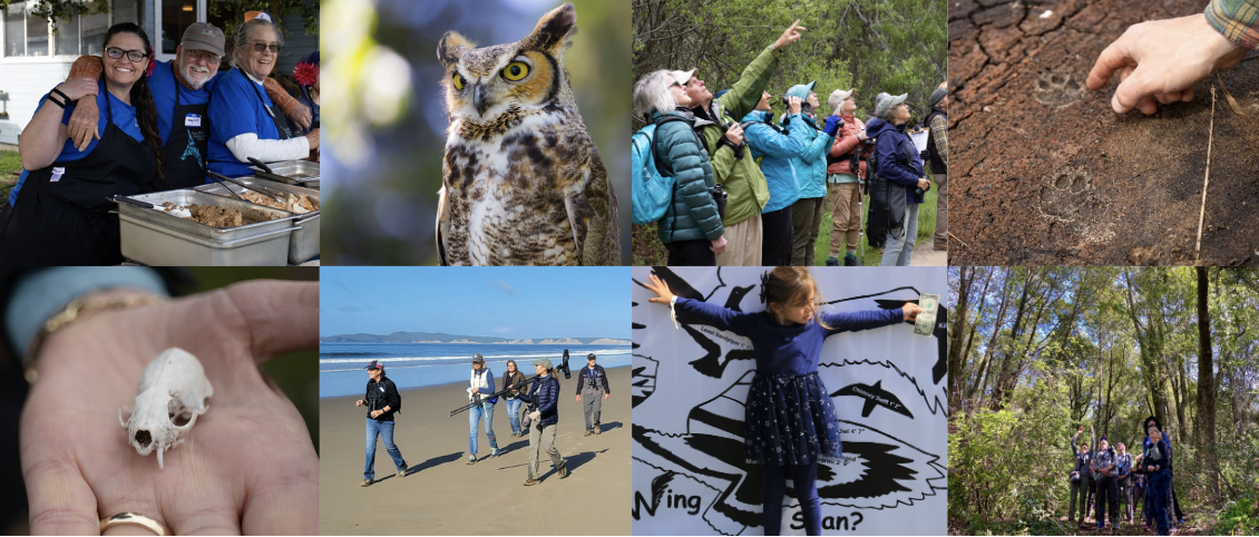 Screen Shot 2024-02-16 at 7.09.55 PM.png