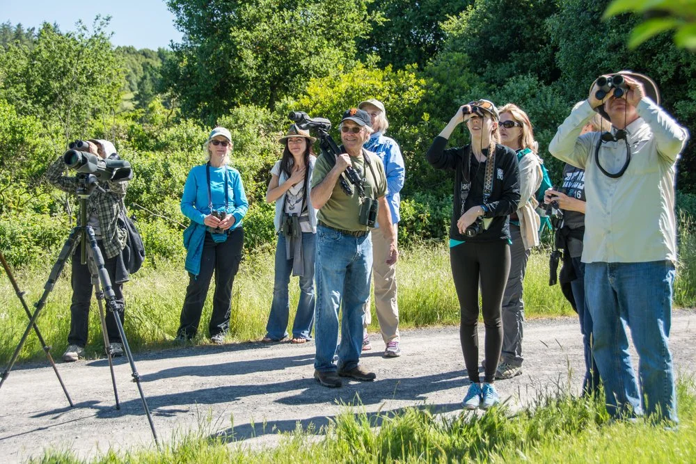 Point Reyes Birding & Nature Festival