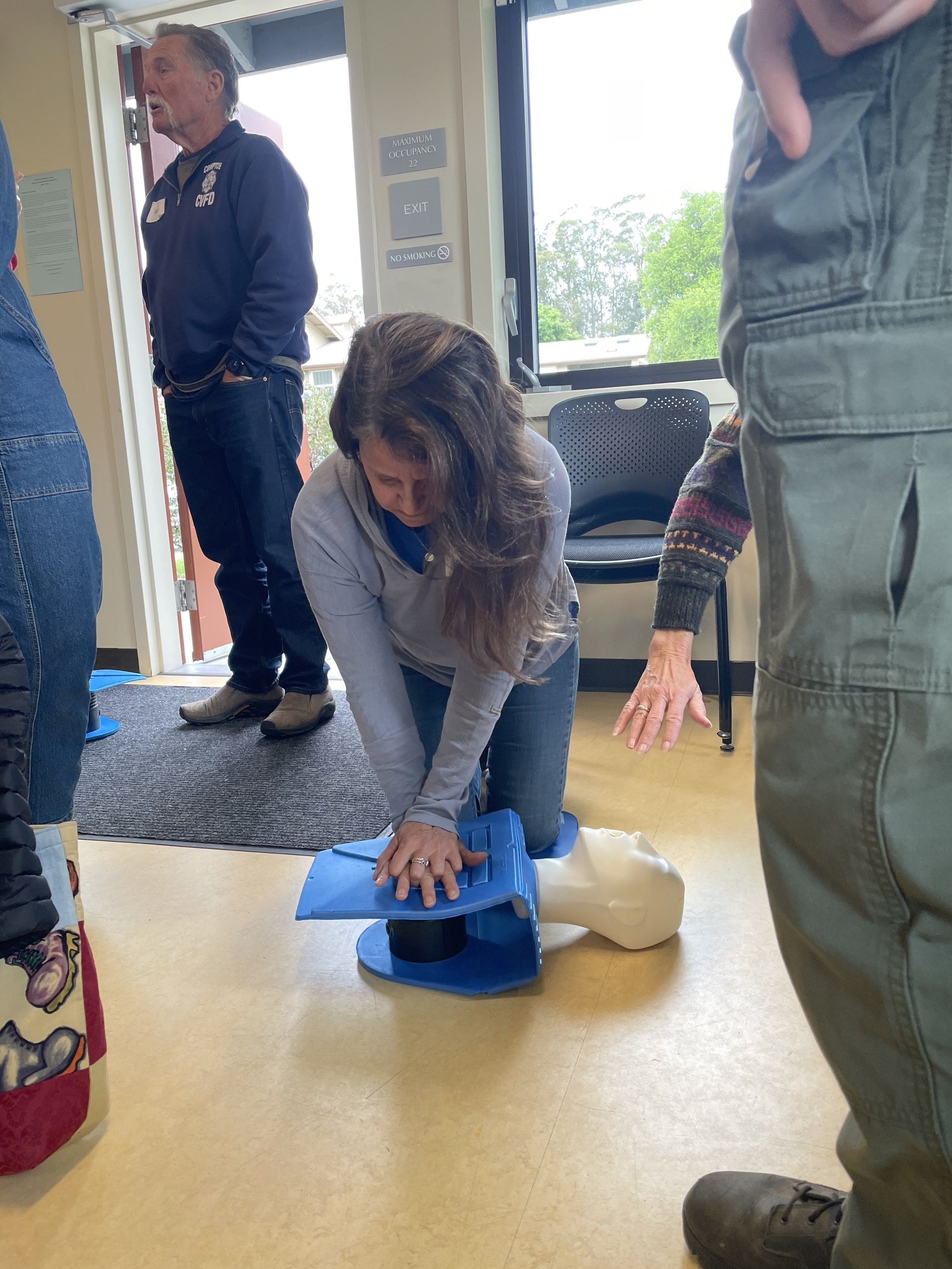 CPR2_Leslie Adler-Ivanbrook.jpeg