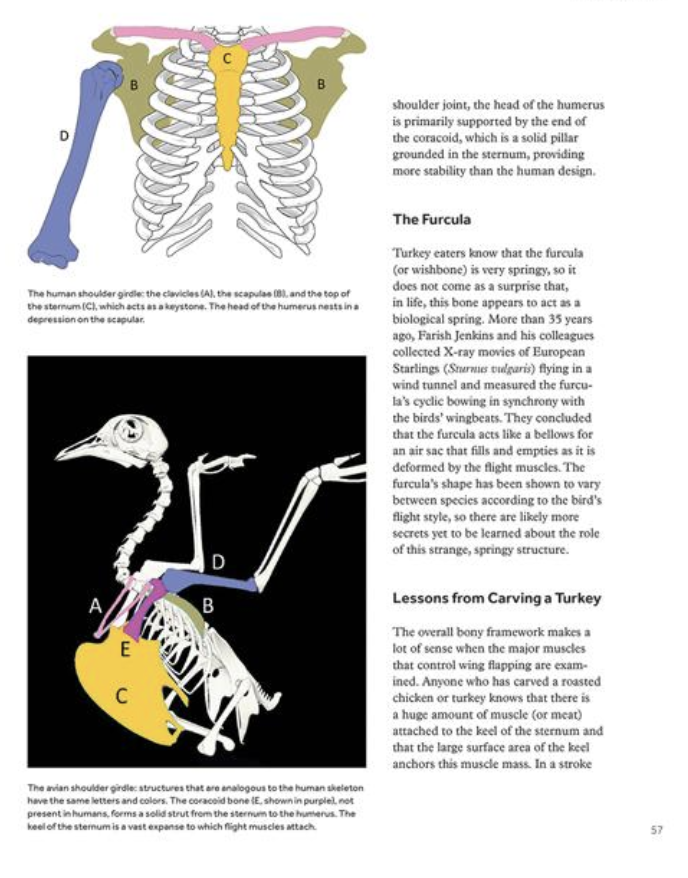 Screenshot 2026-01-27 at 2.56.05 PM.png