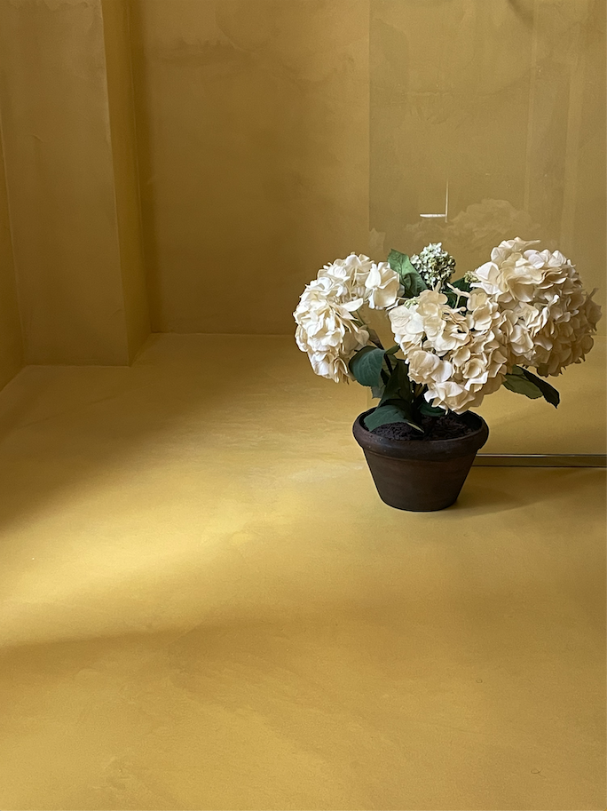 Capture d’écran 2023-03-23 à 12.53.22.png