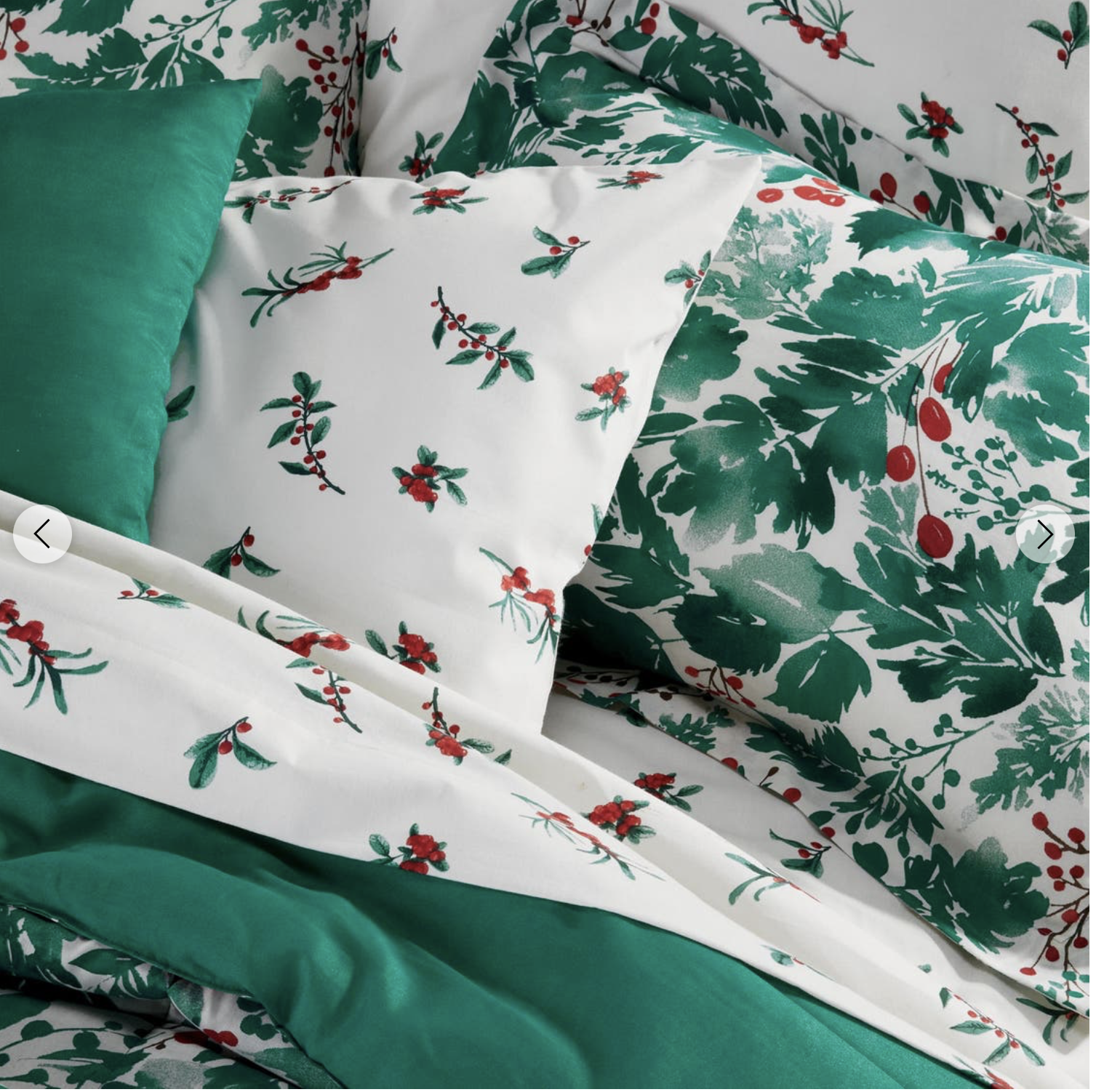 Screenshot 2026-01-13 at 1.15.12 PM.png