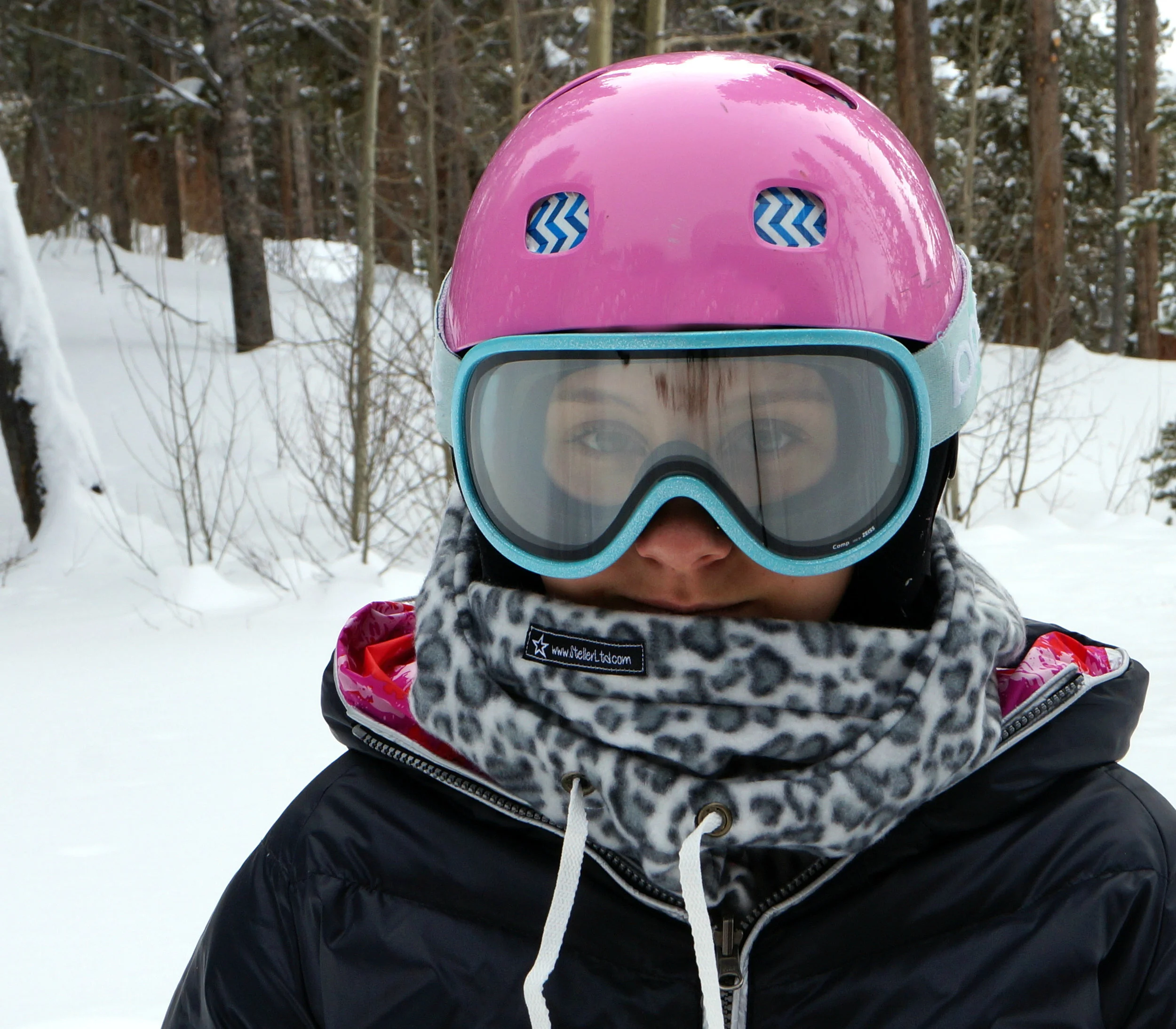 Snow Leopard 56.jpg