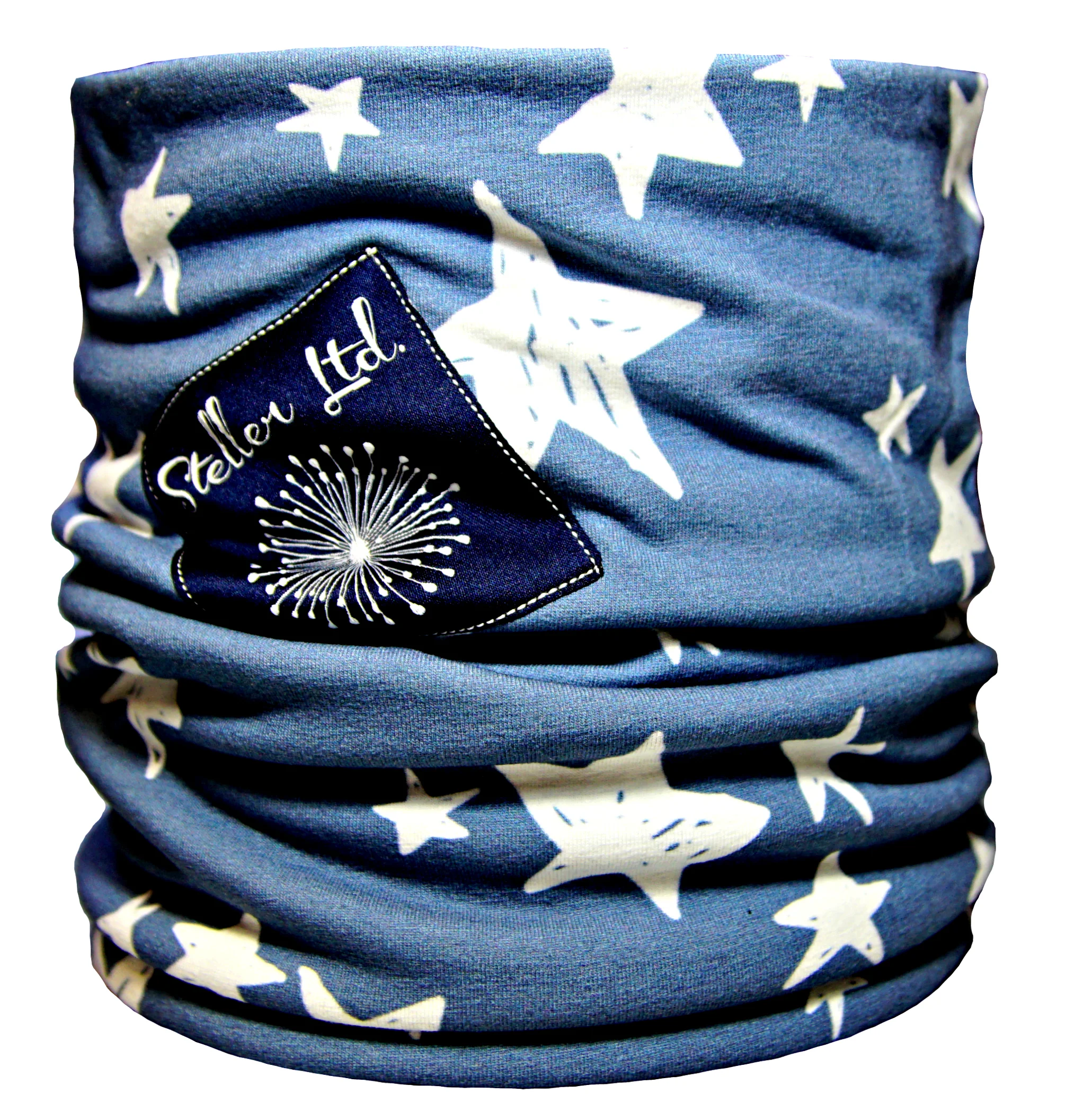 Oh Say Can You See3.jpg