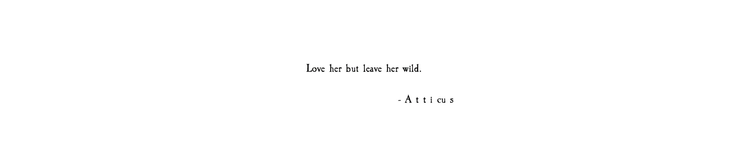 Atticus_LeaveHerWild.jpg