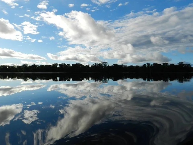 Pynt x 14 - Jungle of Mirrors.jpeg