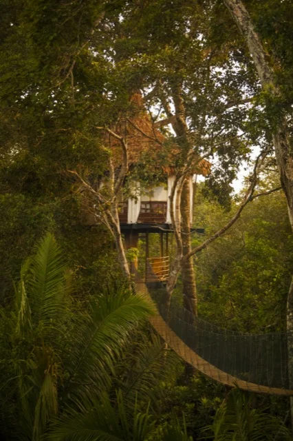 Copy of Treehouse Lodge, Yarapa River