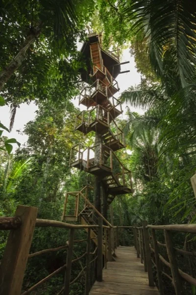 Copy of Treehouse Lodge, Yarapa River