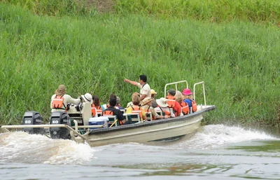 Amazon Discovery - Wildlife Spotting.jpg