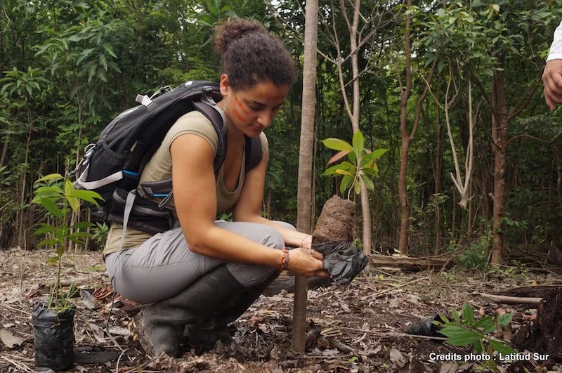 Amazon Reforestation &amp; Sustainable Farming Project