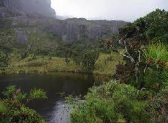 Southern Ecuador - Yacuri National Park.png