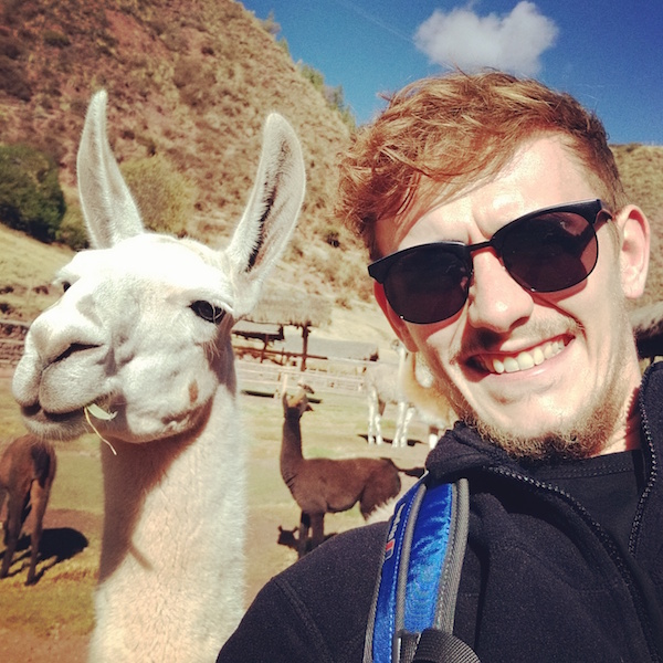 Mizen x 2 - Sacred Valley Alpaca.jpg