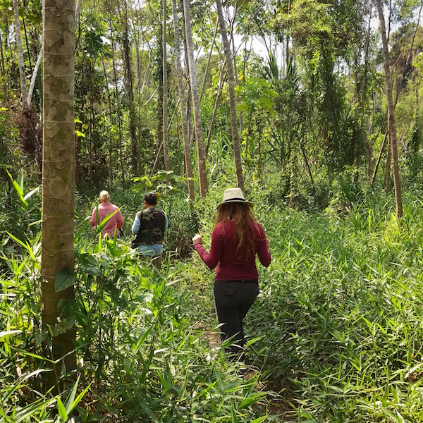 Mizen x 2 - Tambopata Research Center - Jungle Hike.jpg