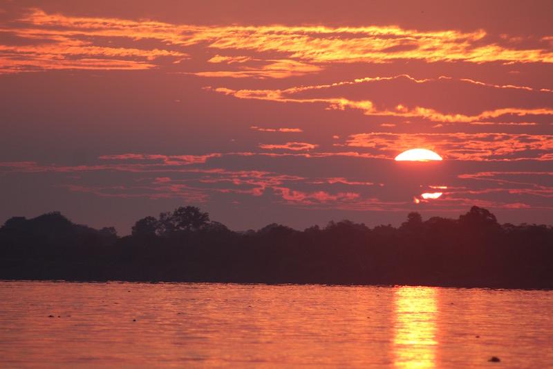 Walter x 3 - Sinchicuy Amazon Lodge - Dawn.jpg