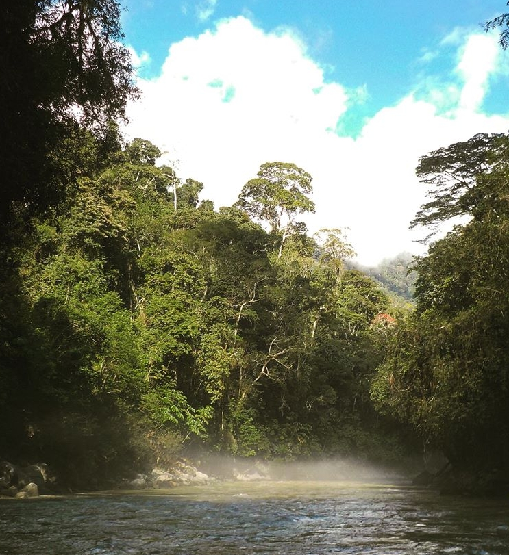 Tarapoto Adventure Excursions - Abiseo River.jpg