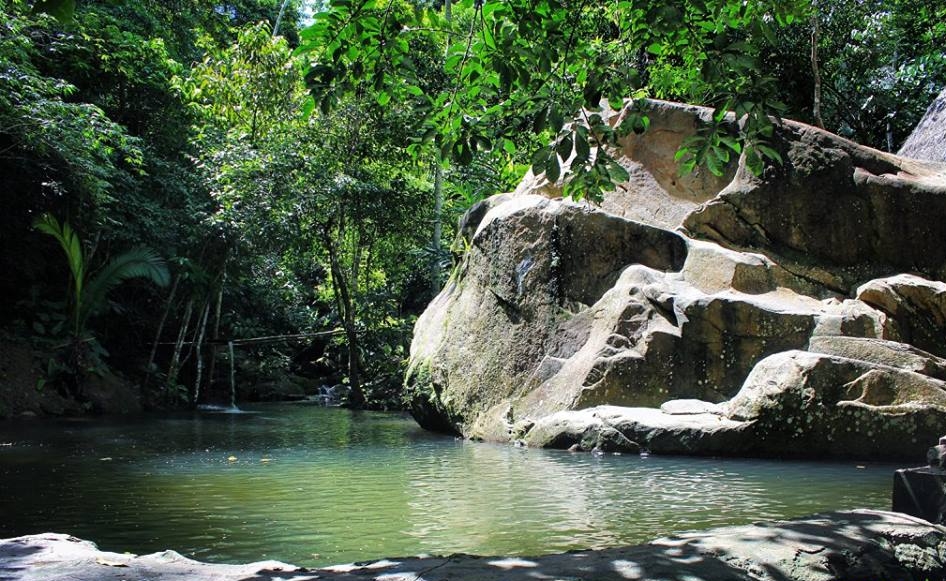 Tarapoto Adventure Excursions - Estero Cave Pool.jpg