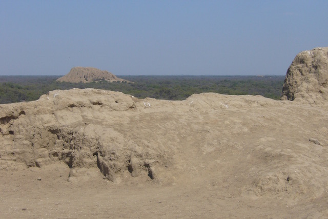 Pomac Dry Forest - View from Huaca to another.jpeg