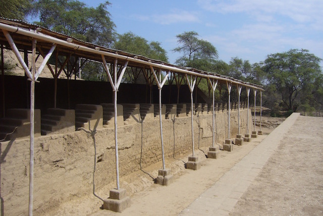 Pomac Dry Forest - Typical Huaca Design.jpeg