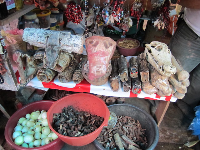 Iquitos, Loreto - Belen Market - Caiman Skulls.JPG
