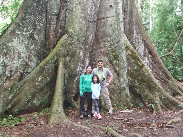 Amazon River Cruises - Ceiba Tree & Family.jpeg