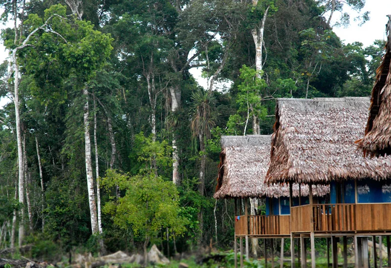 Copy of Curassow Lodge - Yanayacu River