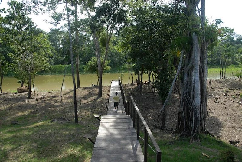 Copy of Curassow Lodge - Yanayacu River