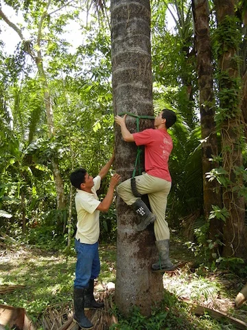 Copy of Pacaya Samiria Amazon Lodge