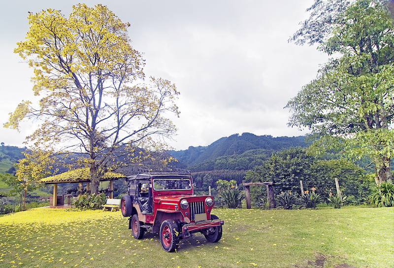 Colombian Highlights - Coffee Region - Hacienda Garden.jpg