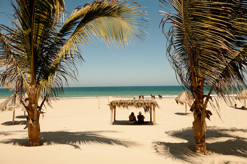 Northern Beaches - Piura & Tumbes - Palms & Horses.jpg