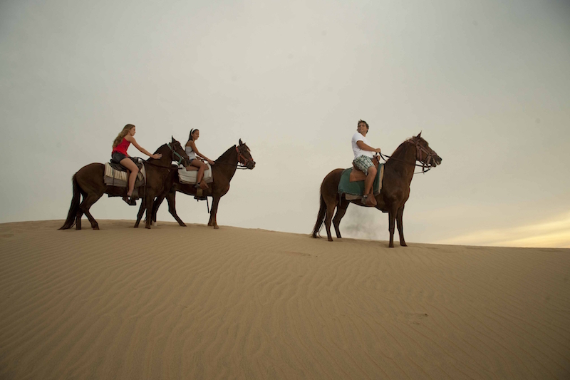 Paracas & Nazca Lines 3D - Horseback Riding on Dunes.JPG