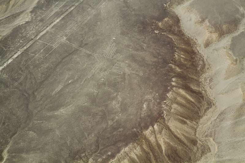 Paracas & Nazca Lines 3D - Hummingbird.jpg