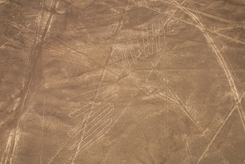 Paracas & Nazca Lines 3D - The Condor.jpg