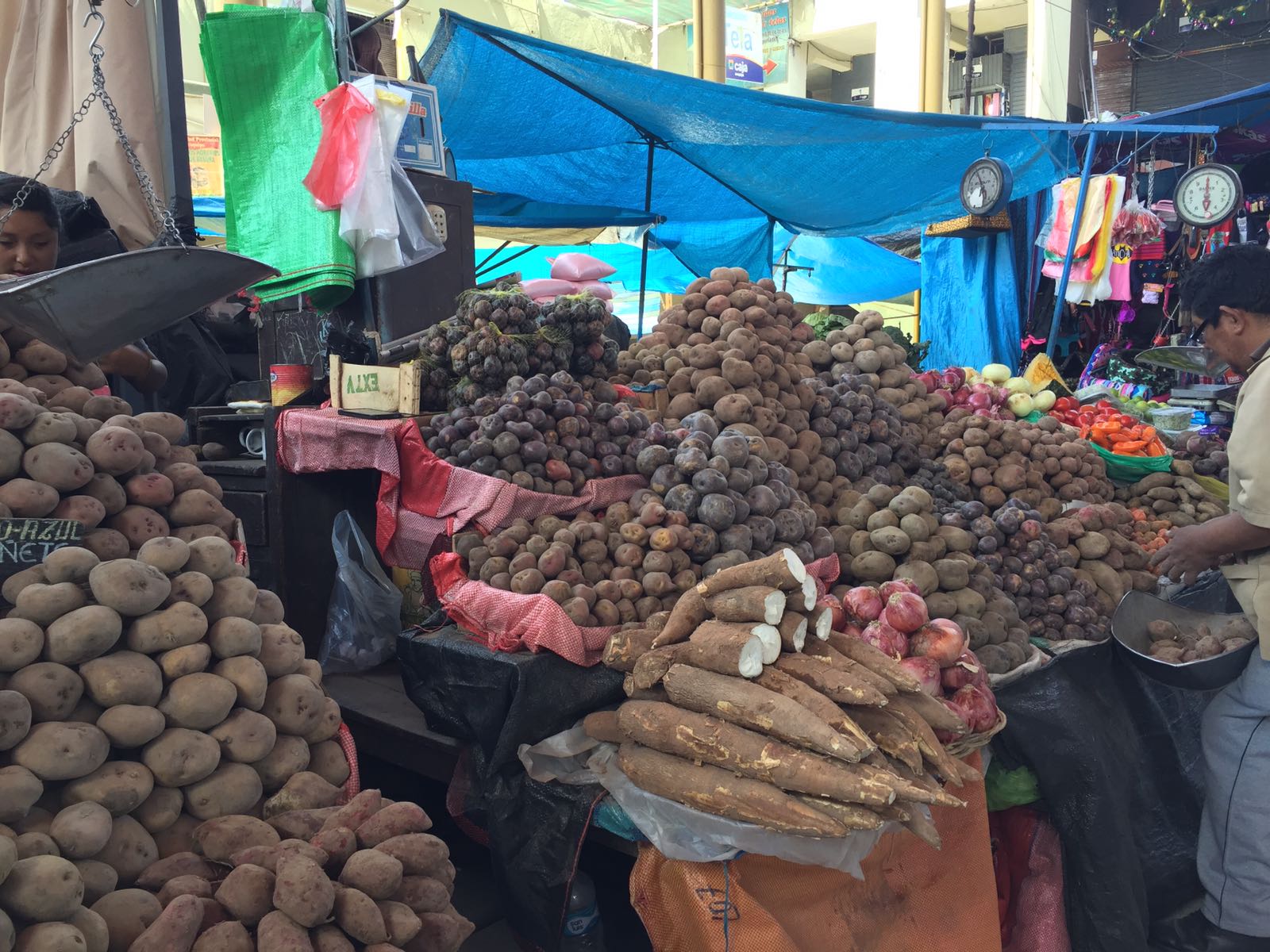 Dallas, Elana x 2 - Arequipa & Colca - Potatoes at Market.jpg