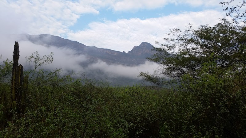 Chaparri Ecological Reserve