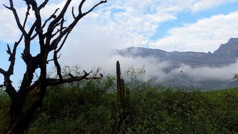 Chaparri Ecological Reserve18.jpg