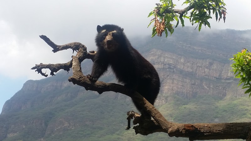 Chaparri Ecological Reserve