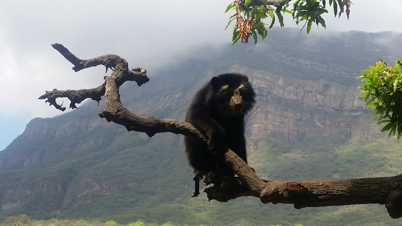 Chaparri Ecological Reserve48.jpg