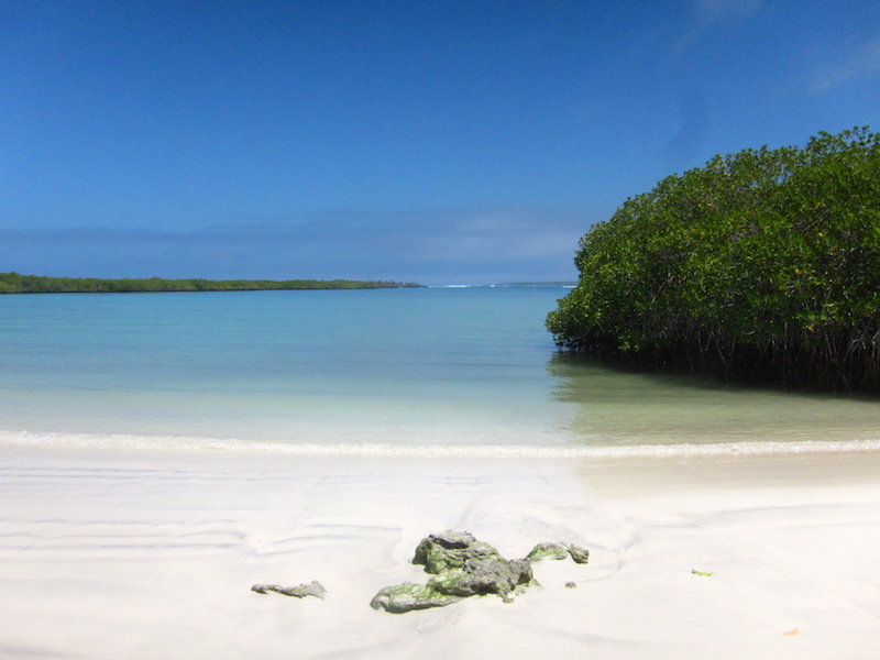 Galapagos Islands 5D - Deserted Beach.jpg