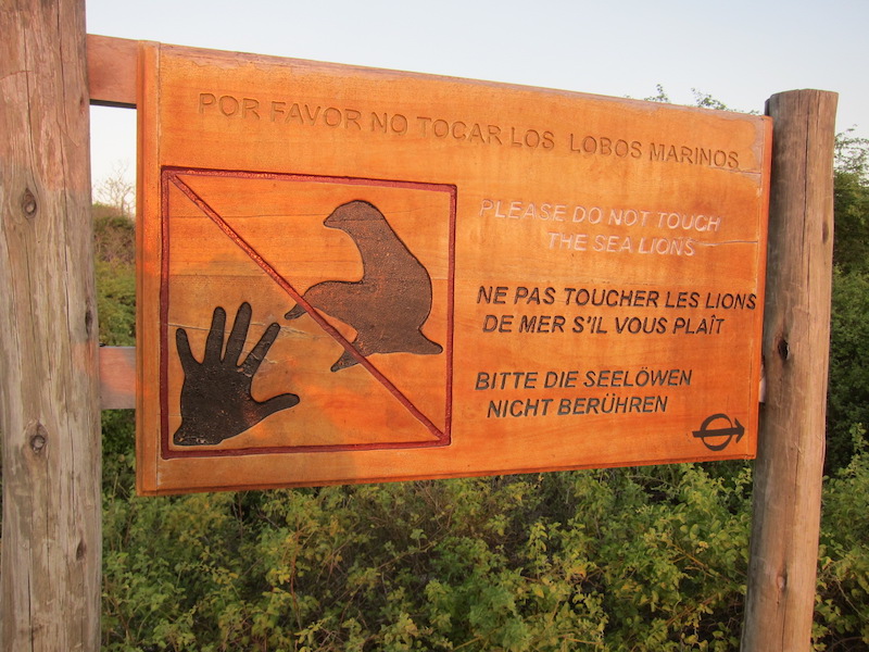 Galapagos Islands 5D - Do Not Touch the Sea Lions.jpg