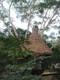 Morgan x 2 - Treehouse Lodge, Iquitos4.jpeg