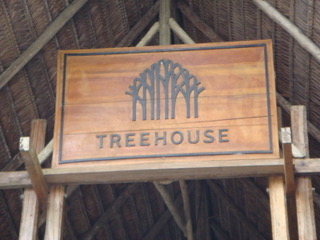 Morgan x 2 - Treehouse Lodge, Iquitos1.jpeg