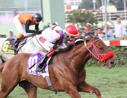 Horse Racing in Lima - Hipodromo de Monterrico10.jpg