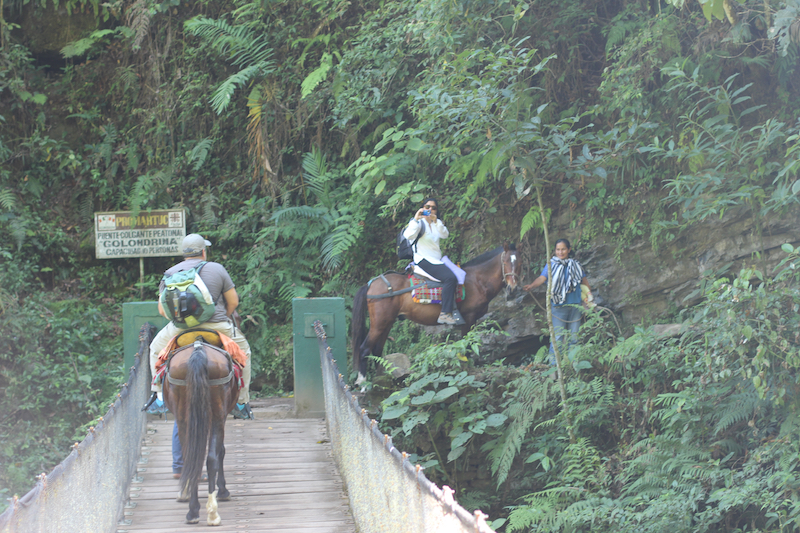 Tarapoto - Trujillo 9D - Gocta Falls by Horseback.jpg