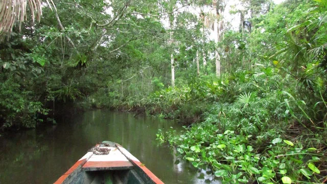 Chiclayo-Tarapoto Birding 15D - Tingana Reserve, Moyabamba, San Martin - Boat Tour.jpg