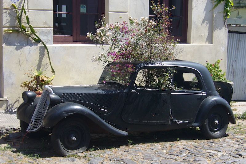 Buenos Aires & Calafate 7D - Flower Car.jpg