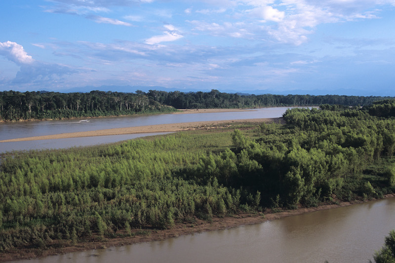 Amazon Lowlands Birding 4D