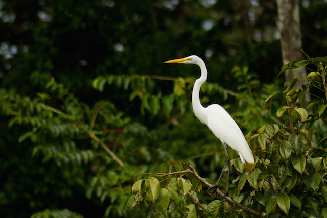 Southern Ecuador 4D / 5D