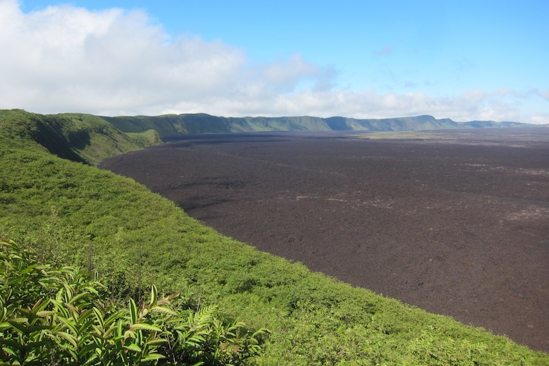 Galapagos Islands 5D